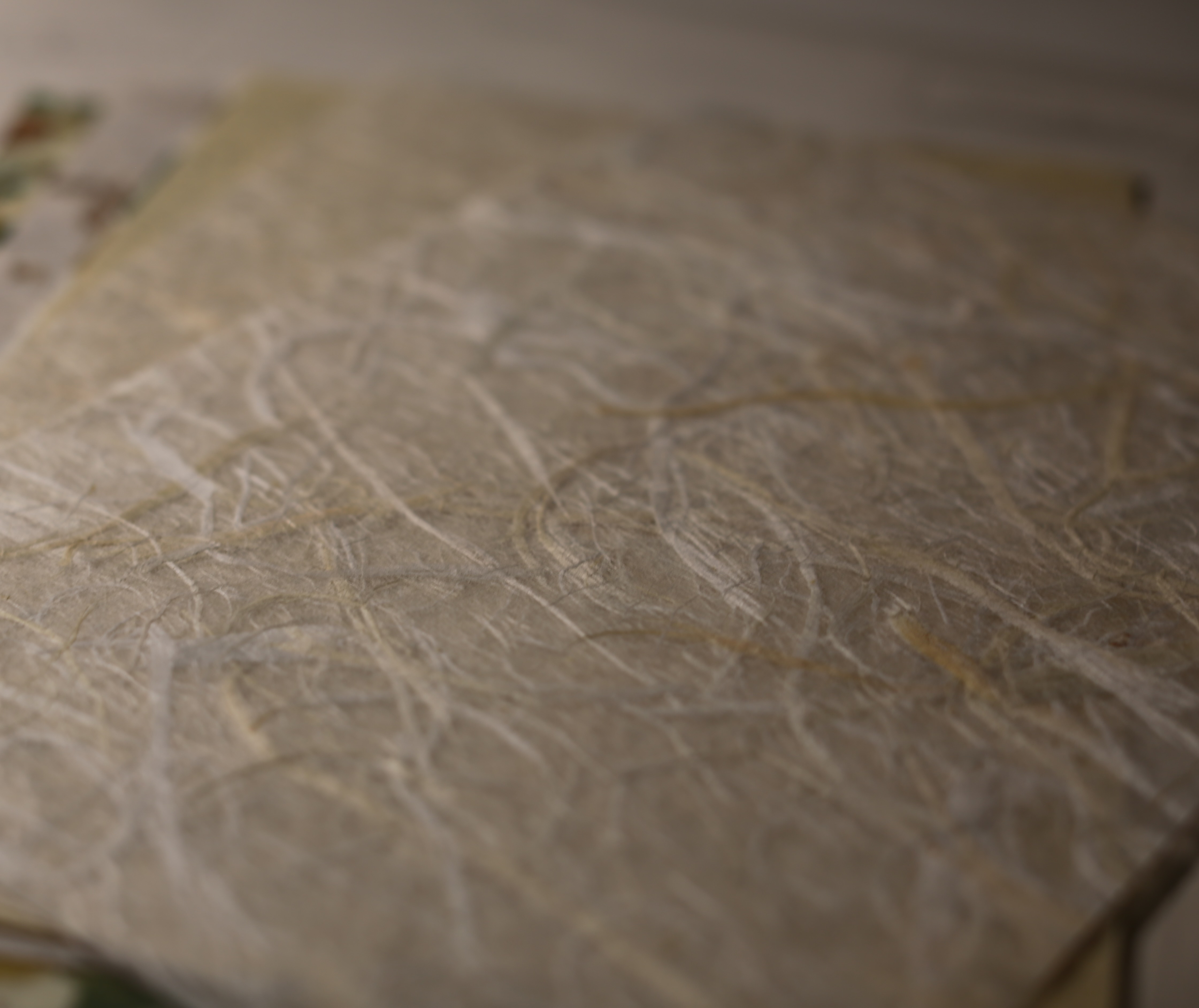 Sheets of handmade kozo paper in several natural tones